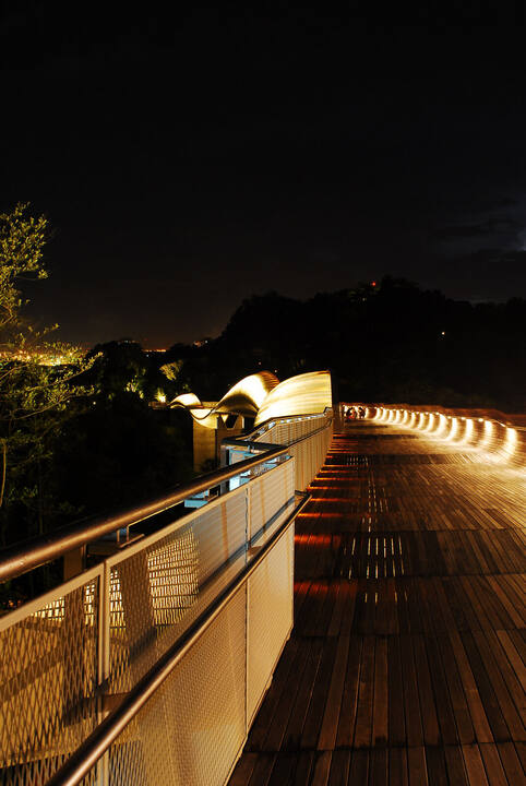 Mesh balustrade and deck of Henderson Waves lit at night, looking towards the canopy